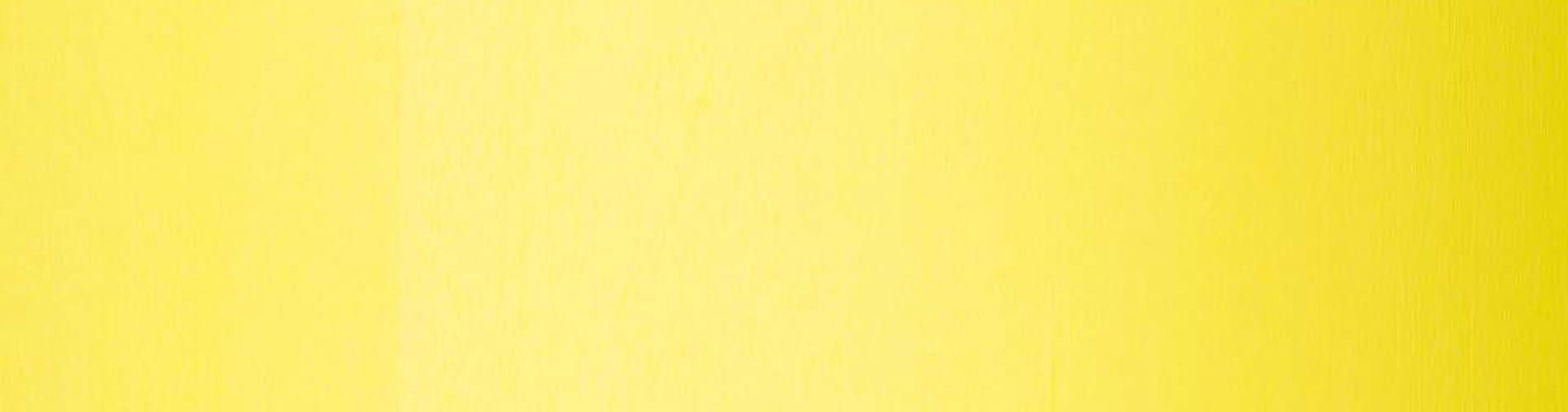 jaipuria school parao campus